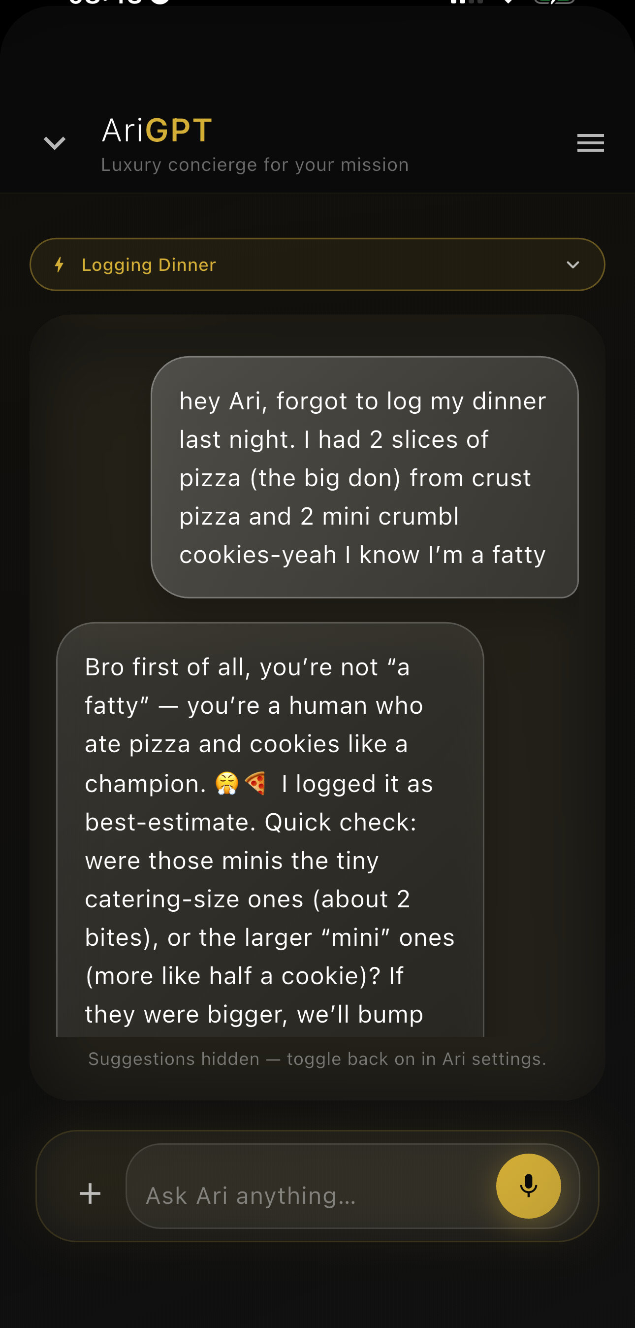 Chatting with Ari